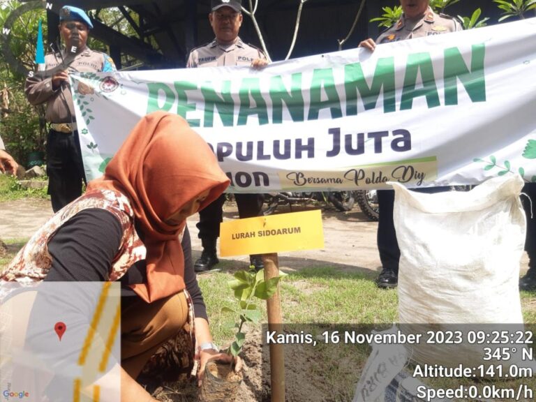 gambar_Penanaman Sepuluh Juta Pohon